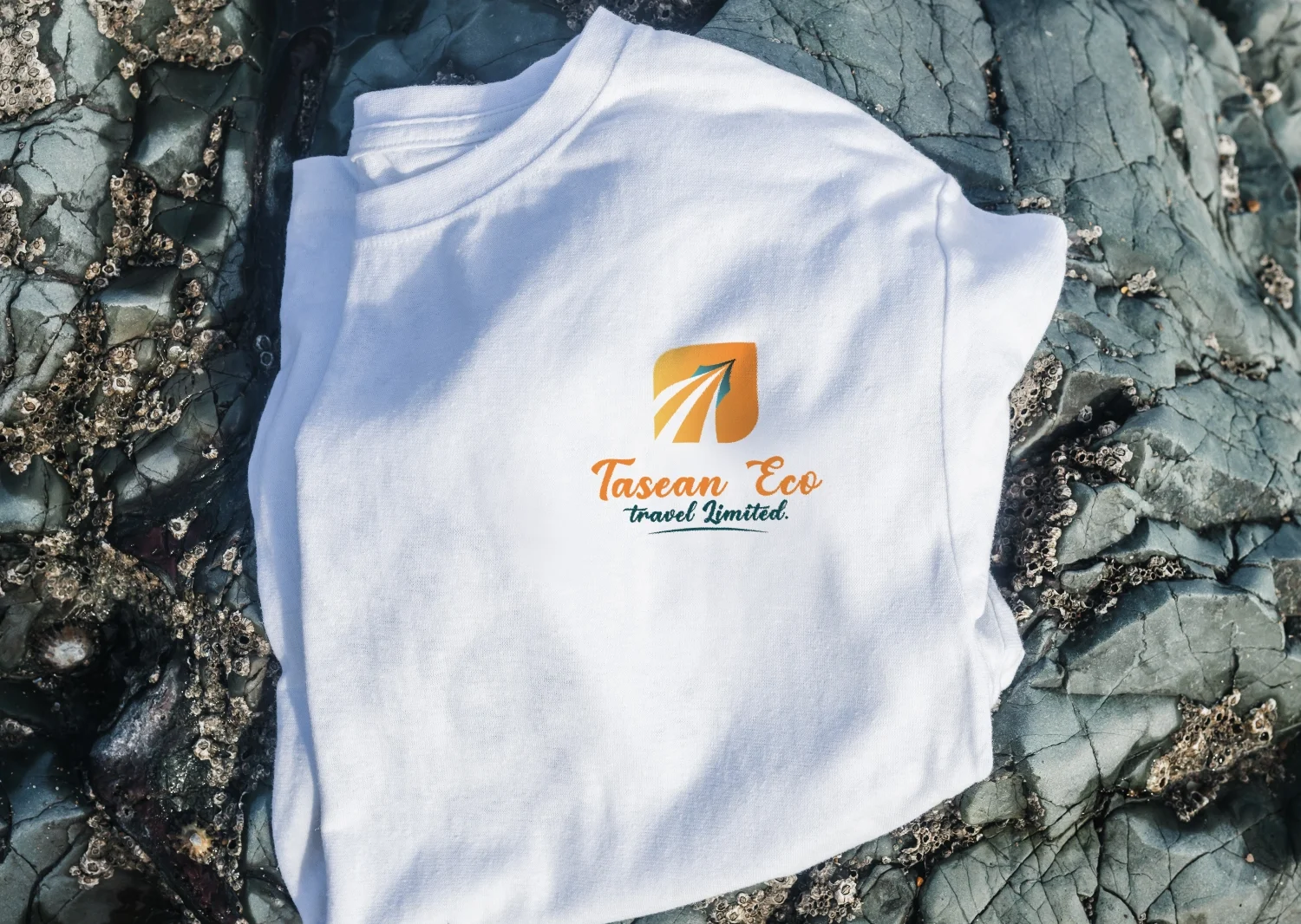 tshirt 2